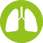 Lung circle vector