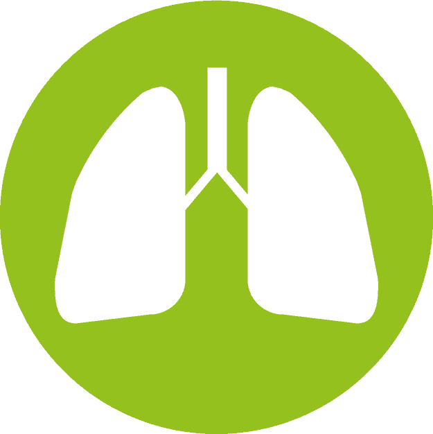 Lung circle vector